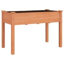 vidaXL Plantekasse med foring brun 118x59x76 cm heltre gran