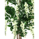 Europalms Wisteria, White, 150cm