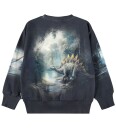 Molo Collegegenser   Mattis   Twilight Dinos   Molo   6 år (116)   Collegegenser Blå Grå Grønn Svart