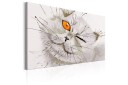 Tavle Grey Cat 120X80 Artgeist sp. z o. o.