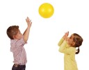 Gymnic Ball Volleyball 21 cm