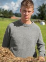23-39i Gard genser lys grå