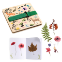 Djeco DIY Lag din egen blomsterpresse