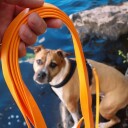 Tyylivoitto Sporline Oransje 6 M