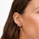 Pilgrim Still Earrings Gold Plated/Brown   Gold   ONE SIZE