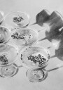 Champagne Celebration No.1 Plakat Plakat / 70x100cm