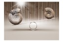 Fototapet Fun With Fossils 150x105 - Finnes i flere størrelser