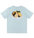Jack & Jones T-skjorte - JcoMarina - Omphalodes - Jack & Jones - 10 år (140) - T-skjorte - Lyseblå