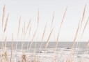 Beach_Vass_002 Poster Plakat / 50x70cm
