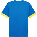 Puma teamGOAL Matchday Jersey fotballtrøye herre Blå S