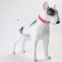 Diamanthalsbånd Til Hund Og Katt
