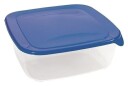 Curver Fresh & Go Firkantet Matboks   0,25L Transparent/Blå