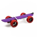 Snap-On Skateboard Lilla