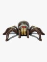Discovery Radiostyrt Tarantula
