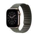 Apple 49/46 mm Sage Grey Magnetic Link   M/L