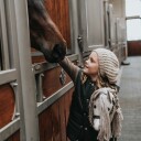 Cheval Roi kjepphestdiva