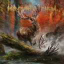 Heaven Shall Burn  Heimat  CD