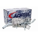 Termostat ACKOJA A38 99 0035