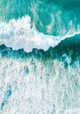 Surfers Wave Plakat Plakat / 100x150cm