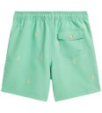 Ralph Lauren Kids Traveler Polo Pony Swim Trunk Green 163 174