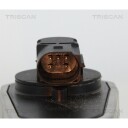 EGR Ventil TRISCAN 8813 10002