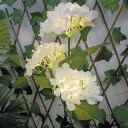 Solcelleblomst LED 3000K - Hortensia