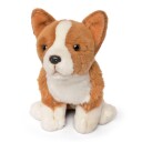 Corgi Hund Kosedyr | Living Nature