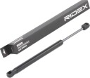 RIDEX 219G0898 Baklukedemper