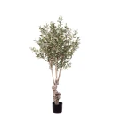 Mr Plant Oliventre 150 cm