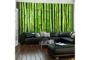 Fototapet Bamboo Wall 250x193 - Artgeist sp. z o. o.