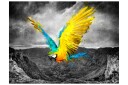 Fototapet Exotic Parrot 400x309 - Artgeist sp. z o. o.