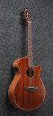 Ibanez AEG220-LGS