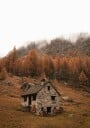 Autumn Mountain Cabin Plakat Plakat / 21x30cm