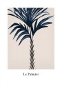 Le Palmier Plakat Plakat / 30x40cm