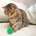 Pinnsvinball For Katter 4-Pakning