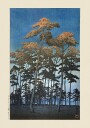 Hikawa Park In Omiya 1930 By Kawase Hasui and Watanabe Shozaburo Plakat Plakat / 70x100cm