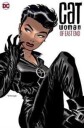 Catwoman Of East End Omnibus Av Ed Brubaker, Darwyn Cooke
