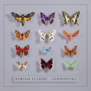 Dominik Eulberg  Lepidoptera  CD