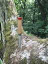 BRIV 81-780625 Scoutkniv, Hobby & fritid