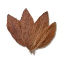 Taylor of old Bond Street, Tobacco Leaf Handsoap