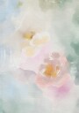 Dreamy Floral Abstract Plakat / 30x40