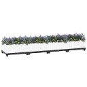 vidaXL Høybed 160x40x23 cm polypropylen