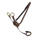 Cheval Roi Kjepphest tilbehør Martingal Brun/gull