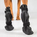 Back On Track Lola Welltex Hundesokker (L)