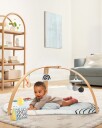 Skip Hop Discoverosity Babygym