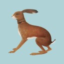 Vashti Bunyan  Lookaftering  LP/Vinyl