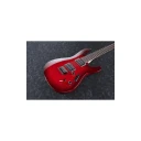 Ibanez S521-BBS