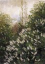 Lilac Blossoms by Ladislav Mednyánszky Plakat Plakat / 50x70cm