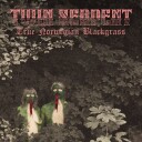 Twin Serpent  True Norwegian Blackgrass  LP/Vinyl
