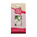 Funcakes Spiselige Blomster Tulipan Og Blad Pk/12 